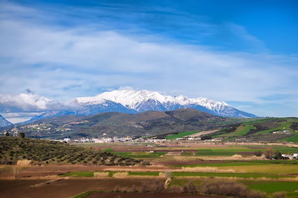 Monte Parnassos in Grecia, Comprensorio sciistico per Atene — Foto Stock