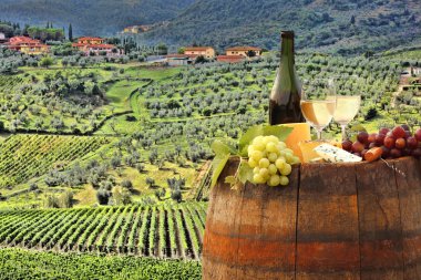 Chianti, Toskana, İtalya 'da üzüm bağında beyaz şarap