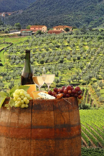 Białe wino z beczką na winnicy w Chianti, Toskania, Włochy — Zdjęcie stockowe