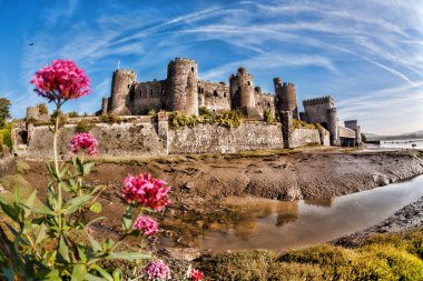 Ünlü Conwy Castle Walesh kaleler Galler, Birleşik Krallık, dizi