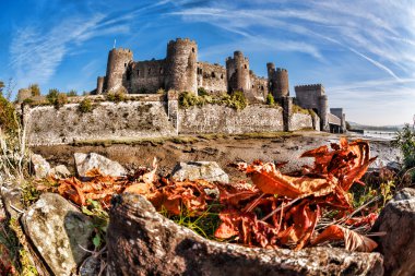 Ünlü Conwy Castle Walesh kaleler Galler, Birleşik Krallık, dizi