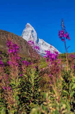 İsviçre Alpleri'nde ünlü Matterhorn