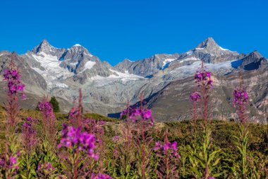 İsviçre Alpleri'nde buzullar mavi gökyüzü ile