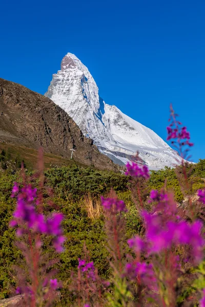 Famoso Matterhorn en los Alpes Suizos — Foto de Stock