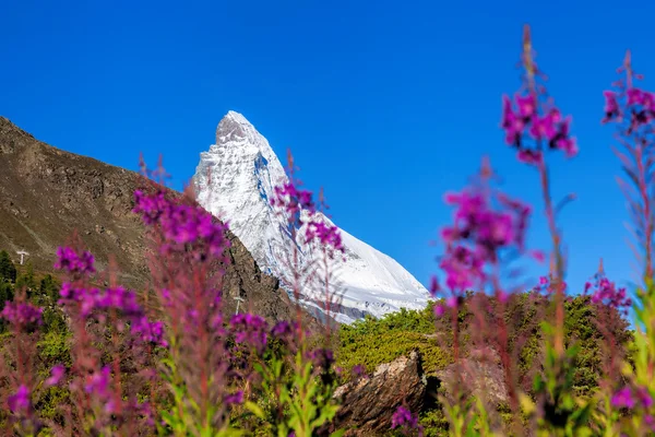 Famous Matterhorn in Swiss Alps — Stock Photo, Image