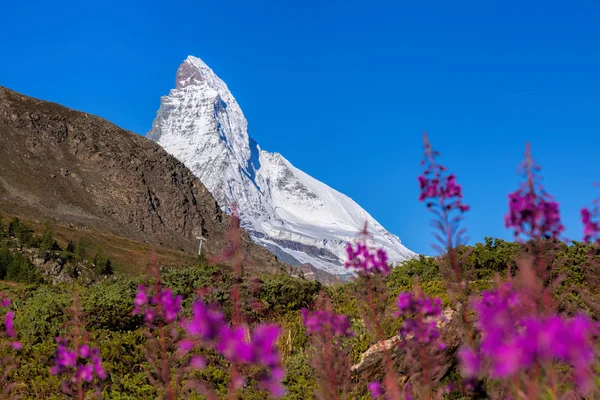 Matterhorn famoso em Alpes suíços — Fotografia de Stock