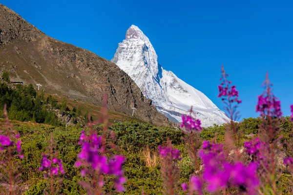 Famoso Matterhorn en los Alpes Suizos — Foto de Stock