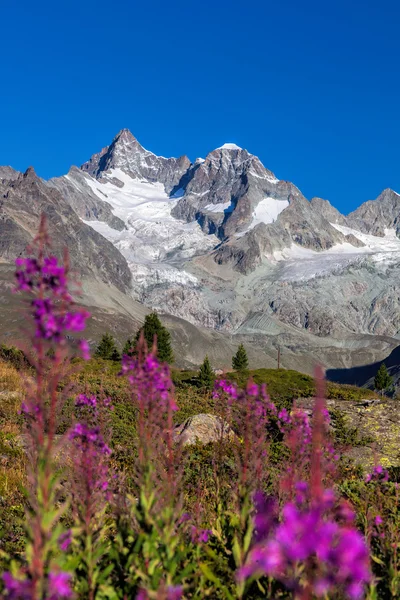 Zwitserse Alpen met gletsjers tegen blauwe hemel — Stockfoto