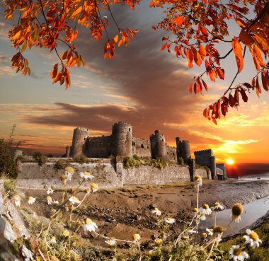Ünlü Conwy Castle Galler, Birleşik Krallık, kale Walesh serisi