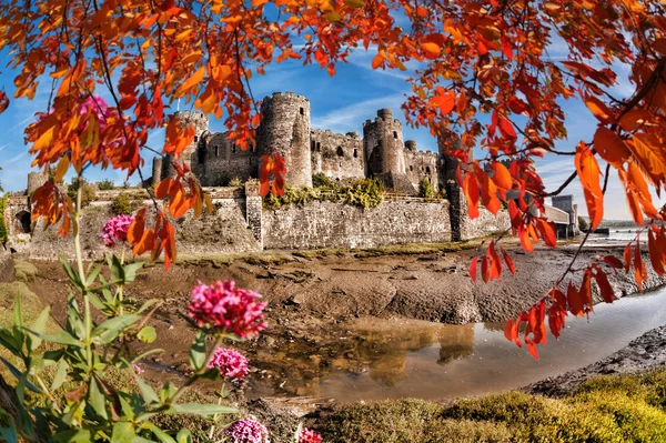 Famoso castillo de Conwy en Gales, Reino Unido, serie de castillos Walesh —  Fotos de Stock