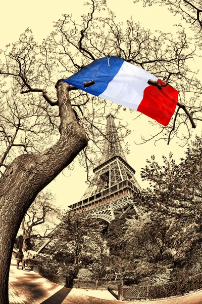 埃菲尔铁塔与法国的旗帜飘扬在法国的那棵树上 — 图库照片