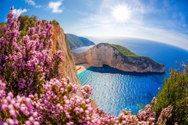 Navagio plaj batık ve çiçeklerle karşı günbatımı, Zakynthos island, Yunanistan