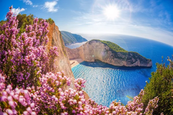 Navagio plaj batık ve çiçeklerle karşı günbatımı, Zakynthos island, Yunanistan