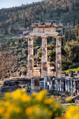 Delphi Yunanistan'da tapınağın kalıntıları ile