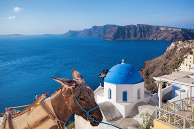 Santorini Adası ile eşek köyde Oia, Yunanistan