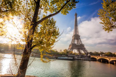 Eyfel Kulesi Tour Eiffel, paris, Fransa, ağaç bahar ile