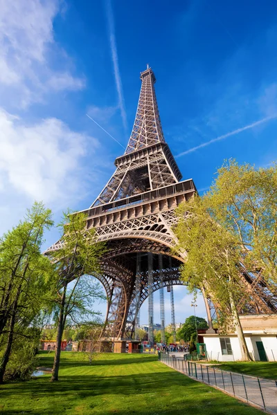 Wieża Eiffla z drzewa wiosna w Paryżu, Francja — Zdjęcie stockowe