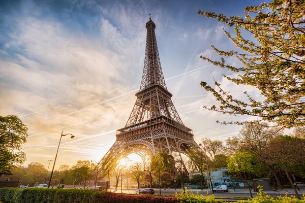 Torre Eiffel con árbol de primavera en París, Francia — Foto de Stock