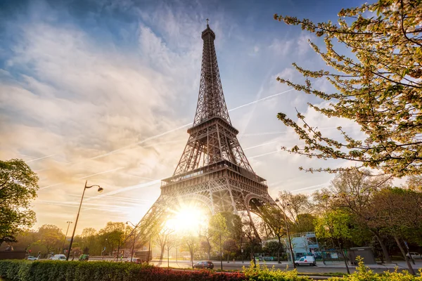 Eiffeltoren met lente boom in Parijs, Frankrijk — Stockfoto