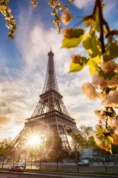 Eiffelturm mit Frühlingsbaum in Paris, Frankreich — Stockfoto