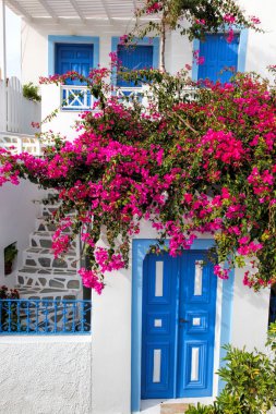 Santorini Island, Yunanistan Oia köyde çiçekli geleneksel Yunan kapı