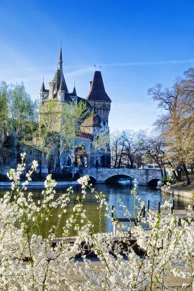 Замок Вайдахуньяд с весенним деревом в Будапеште, Венгрия — стоковое фото