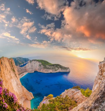 Navagio plaj batık ve günbatımı karşı çiçeklerle Zakynthos Adası Yunanistan
