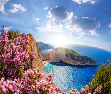 Navagio plaj batık ve çiçeklerle karşı günbatımı, Zakynthos island, Yunanistan