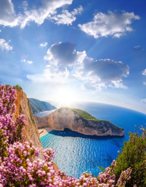 Navagio plaj batık ve çiçeklerle karşı günbatımı, Zakynthos island, Yunanistan