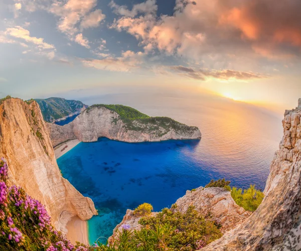 Navagio plaj batık ve günbatımı karşı çiçeklerle Zakynthos Adası Yunanistan — Stok fotoğraf