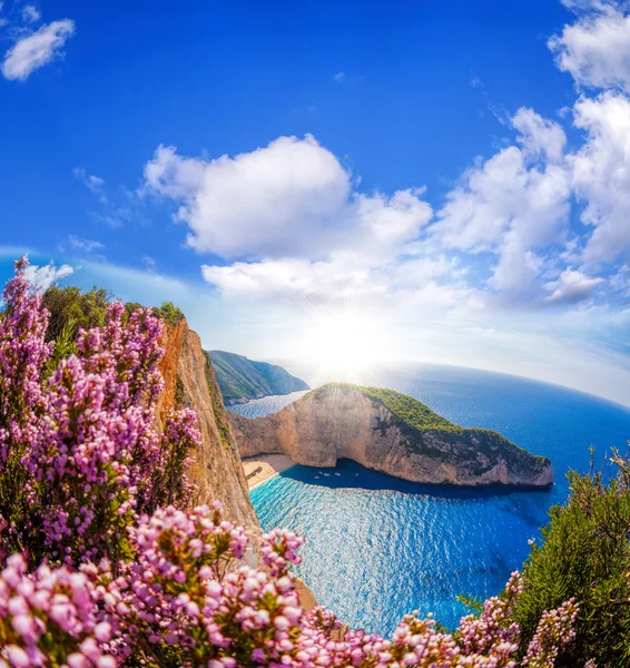 Praia de Navagio com naufrágio e flores contra o céu azul na ilha de Zakynthos, Grécia — Fotografia de Stock