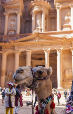 Hazine. Petra. Ürdün