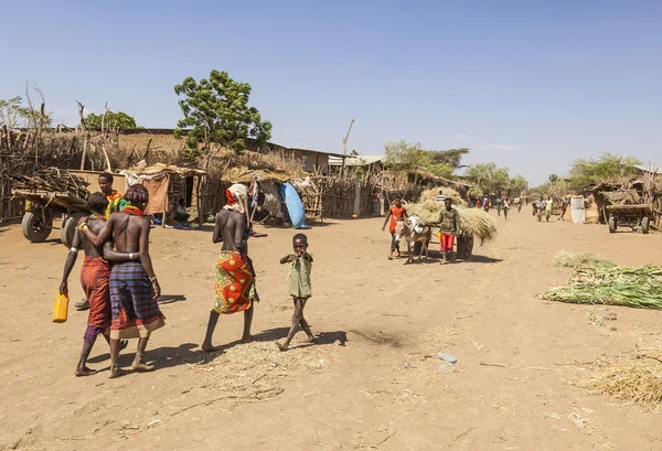 People in traditional village of Dassanech tribe. Omorato, Ethiopia. — Stock Photo, Image