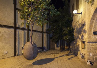 Ran Morin tarafından kayan portakal ağacı. Tel Aviv. İsrail.