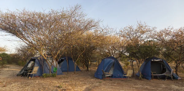 Tent camp under a small tries. Lower Omo Valley near Turmi. Ethiopia — Stock Photo, Image