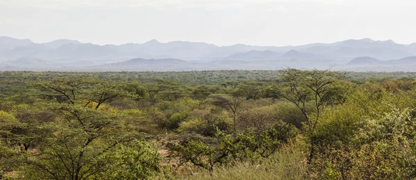 Paysage africain. Parc national de Mago. Omo Valley. Éthiopie . — Photo