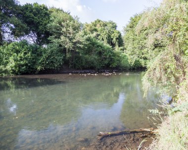 Mago nehir. OMO Vadisi. Etiyopya.