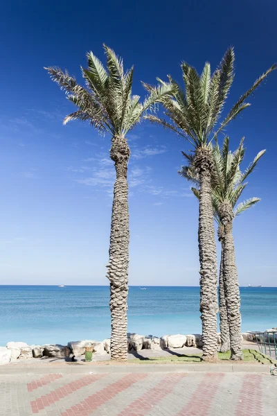 Bat Galim promenádu. Galshanim pláž. Haifa. Izrael. z Bat Gali — Stock fotografie