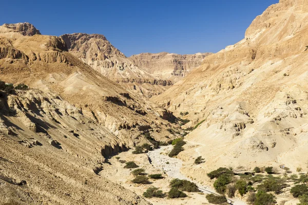 Vista desde el kibbutz Ein Gedi. Cerca del Mar Muerto, Israel —  Fotos de Stock