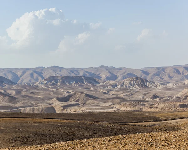 Paisaje en el desierto de Judea. Israel . —  Fotos de Stock