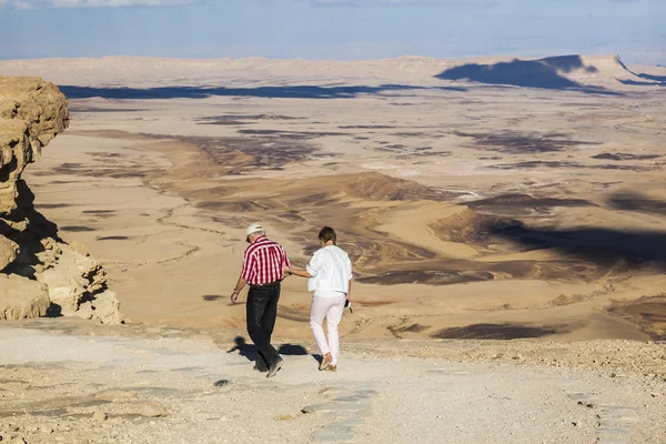 Makhtesh Ramón (Cráter Ramón) paisaje. Desierto del Negev. Israel —  Fotos de Stock