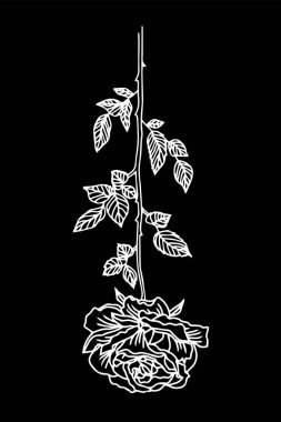 Siyah üzerine gül çiçeği, vektör illüstrasyonu 