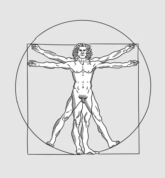Vitruvian Man Created Leonardo Vinci — Stock Vector