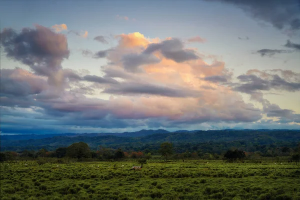 Nubes Atardecer Sobre Campos Costa Rica Post Procesadas Usando Corchete — Foto de Stock