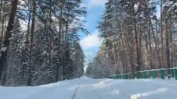 Légi kilátás téli táj táj út télen mező erdő. téli erdő egy napsütéses napon. — Stock videók