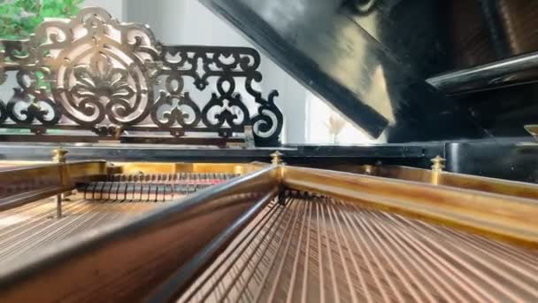 Cámara que se mueve bajo la tapa abierta de un piano de cola clásico más antiguo que muestra cuerdas de piano y se detiene delante de las teclas de piano. — Vídeos de Stock