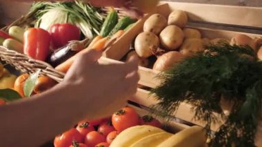 Çiftçi pazarında taze organik sebzeler ve bitkiler. Yerel çiftçi pazarında renkli çiğ sebzeler ve bitkiler satılıyor..