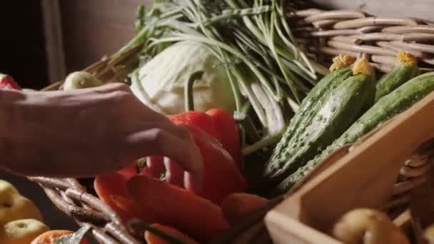 Fresh organic vegetables and herbs at the farmers market. Colorful raw vegetables and herbs on sale at the local farmers market. — Stock Video