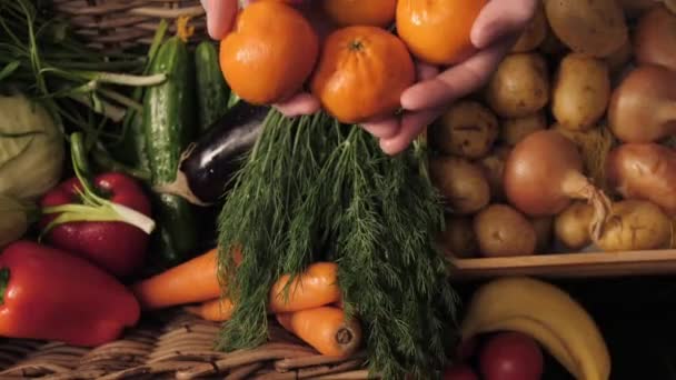 Légumes bio. Mains de fermiers avec des mandarines fraîchement cueillies. mandarines biologiques fraîches. Marché des fruits et légumes — Video