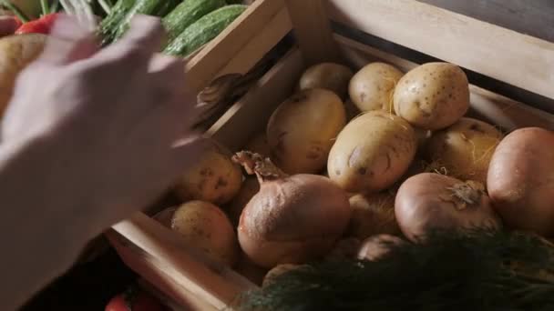 Plantaardige boer markt teller: kleurrijke verschillende verse biologische gezonde groenten bij supermarkt. Gezond natuurvoedingsconcept — Stockvideo